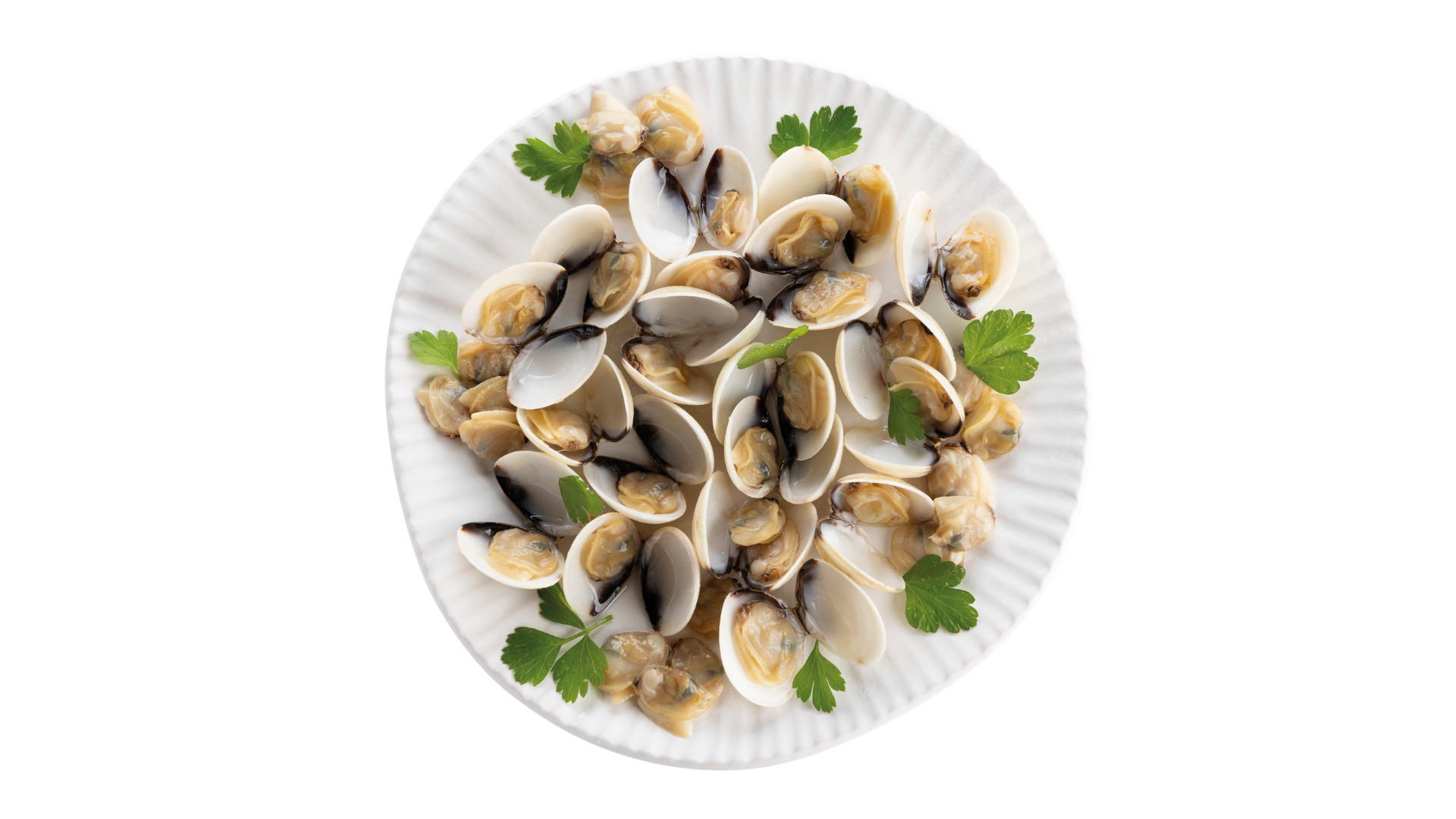 Vongolata - Medi Surgelati - Ondaviva
