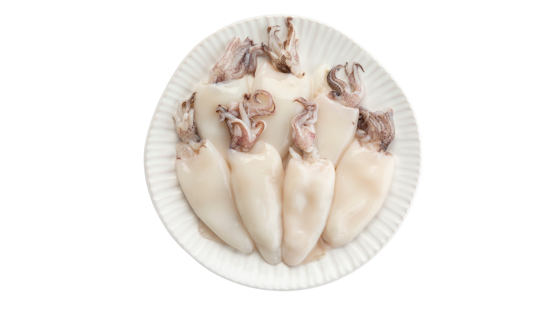 Calamari puliti - Medi Surgelati - Ondaviva